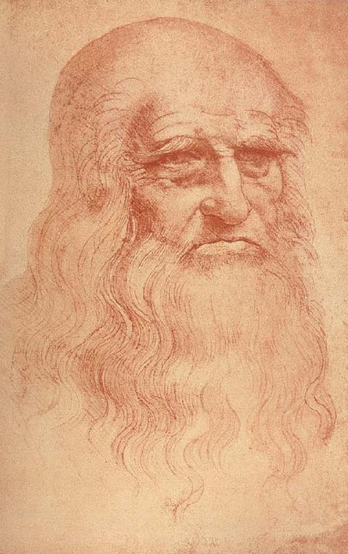 LEONARDO da Vinci Self Portrait oil painting picture